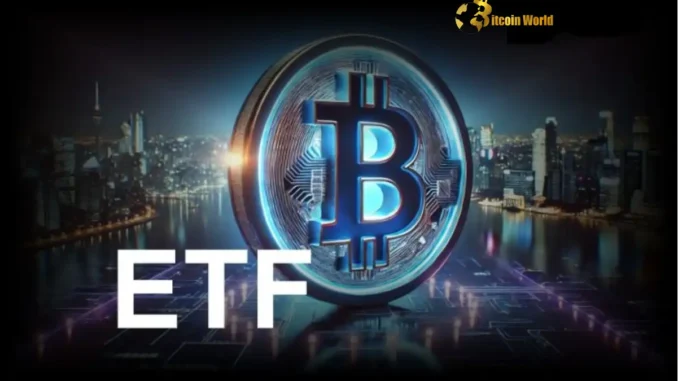 Surging US Spot Bitcoin ETF Inflows Signal Strong Market Confidence Surging US Spot Bitcoin ETF Inflows Signal Strong Market Confidence