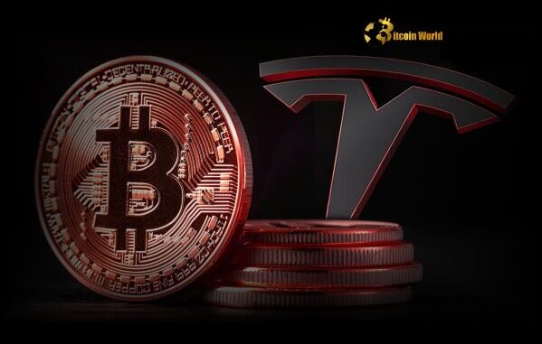 Tesla Bitcoin Holdings Surge to $1.24 Billion Tesla Bitcoin Holdings Surge to $1.24 Billion