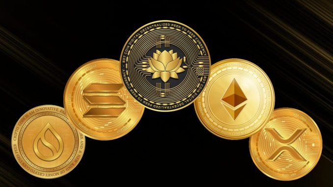 Top 5 Altcoins to Watch This Bull Market – BDTCOIN Top 5 Altcoins to Watch This Bull Market – BDTCOIN Makes the List