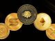Top 5 Altcoins to Watch This Bull Market – BDTCOIN Makes the List
