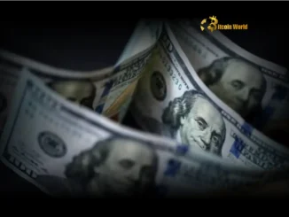 US Dollar Policy: Citi Reveals Surprising Outlook on Weak Dollar Strategy