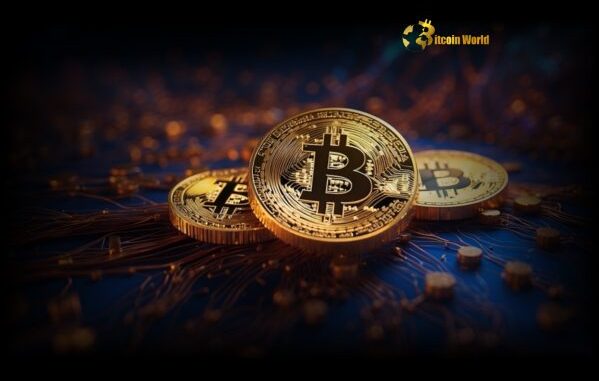 US Government Explores SHOCKING Debt-Free Bitcoin Purchase Plan US Government Explores SHOCKING Debt-Free Bitcoin Purchase Plan