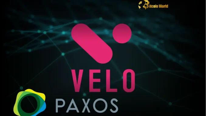 Velo Labs Announces Crucial Paxos Partnership for USDL Stablecoin Velo Labs Announces Crucial Paxos Partnership for USDL Stablecoin
