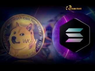 Wormhole Dogecoin: Unlocking DOGE's Potential in the Solana Ecosystem