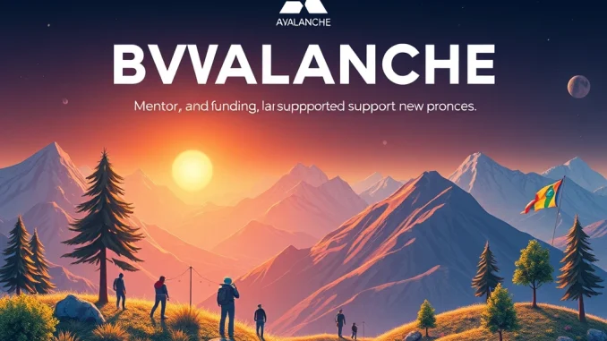Accelerate Your Vision: Avalanche Codebase Opens Applications for Exciting Season 4 Web3 Incubator