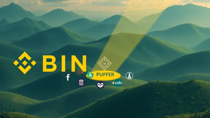 Exciting Binance Alpha Listing: PUFFER Crypto Joins Early Projects