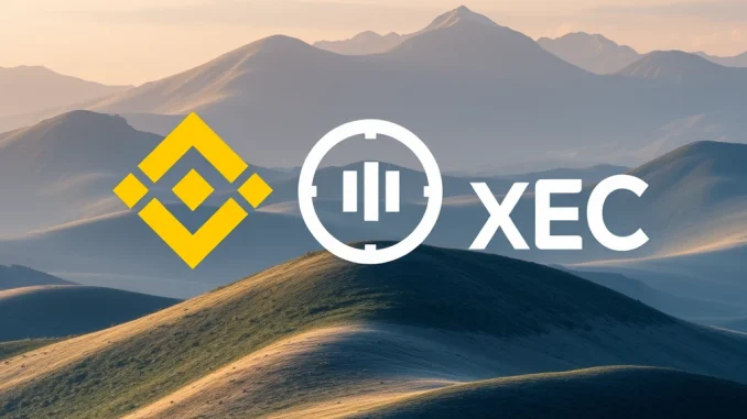 Binance XEC Alert: Important Suspension for Upcoming eCash Network Upgrade