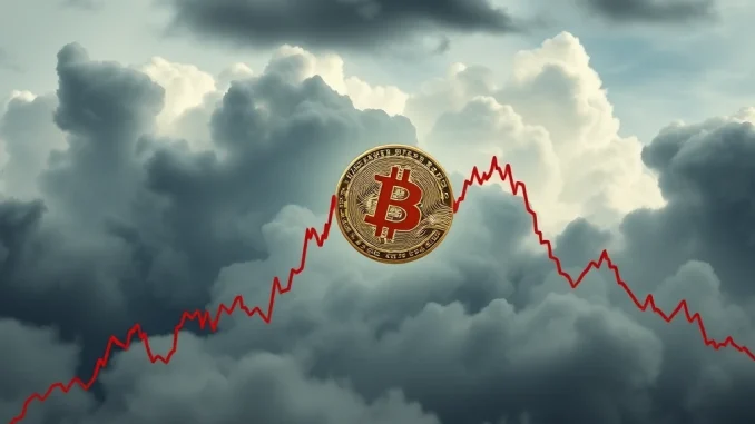 Urgent: Bitcoin Price Dips Below $103,000