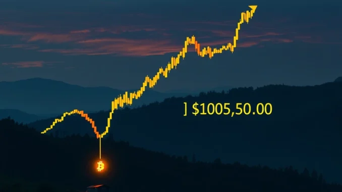 Sudden Bitcoin Price Drop: BTC Falls Below $94,000 - What's Next?