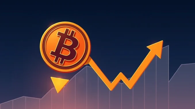 Bitcoin Price Plunges: BTC Falls Below Crucial $105,000 Level