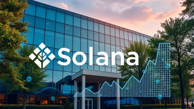 Solana: DFDV's Strategic $100M+ Crypto Holdings Boost Confidence