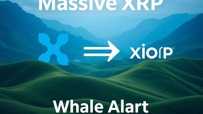 Massive XRP Transfer: 300,000,000 XRP Moved to Ripple
