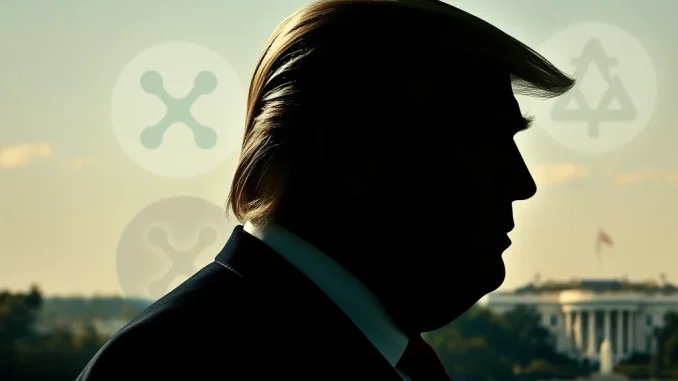 Revealing: Trump Crypto Endorsement Linked to Lobbyist, White House Removal Confirmed