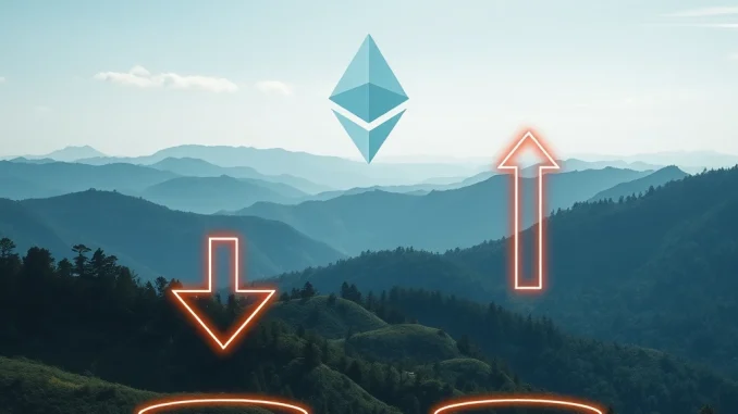 Sudden $17.6M Outflow Hits US Spot ETH ETFs