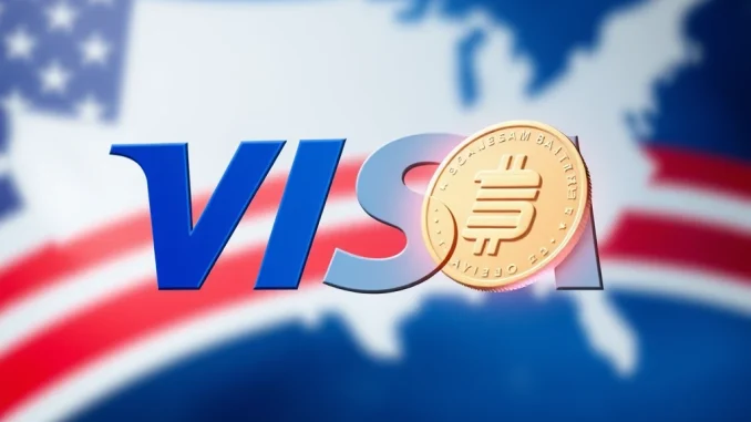 Breakthrough: Visa Ventures Accelerates Stablecoin Payments US Expansion with BVNK Investment