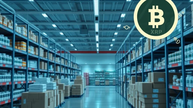 Wellgistics Health: Bold Move Explores XRP Treasury and Ripple Real-Time Settlement
