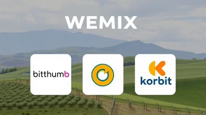 Critical WEMIX Delisting: Korean Crypto Exchanges Act, WEMIX CEO to Respond