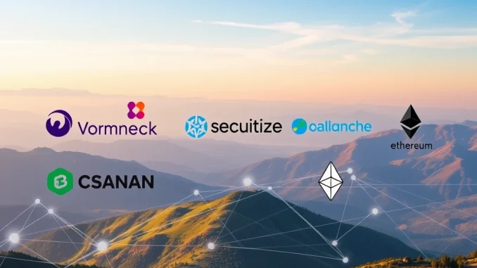BREAKING: Wormhole Powers VanEck's Tokenized Treasury Fund, VBILL, Across Multiple Blockchains