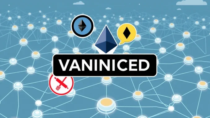 ZKsync Regulatory Fear: US Investigation Statement Removed
