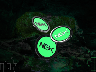 Best Crypto Presales That Could Provide 1000% ROI This Summer: Solaxy & Nexchain