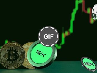 DOGE Plummets Amid Market Volatility As Nexchain Smashes Past $3.7M in Presale