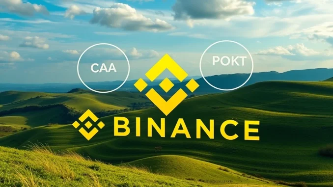 Binance Alpha Spotlights Promising CA and POKT: Early Stage Crypto Discovery