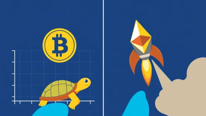 Bitcoin Sentiment: Why Cautious Traders Watch Ethereum's Leverage Boom
