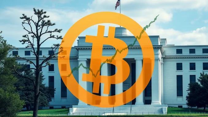 Bitcoin Price: Fed Rate Pause Fuels Hope for Potential Rally