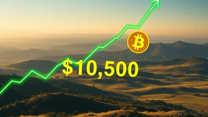 Bitcoin Price Explodes Past $105,000: What's Driving the BTC Rally?