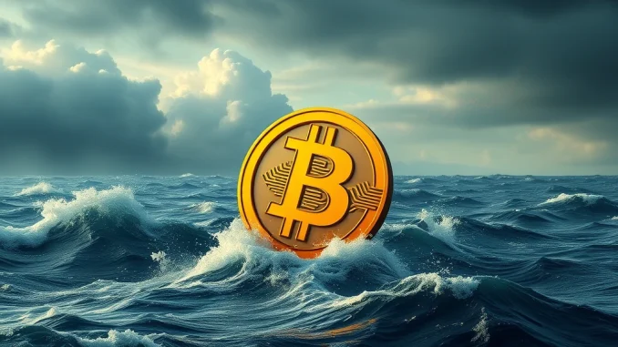 Bitcoin Price: Crucial Tests Loom Amidst Key Market Factors