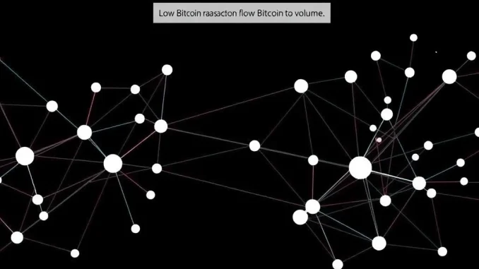 Urgent Alert: Bitcoin Transaction Activity Hits 19-Month Low