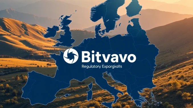 Bitvavo Secures Landmark MiCA License: A Triumphant Step for European Crypto