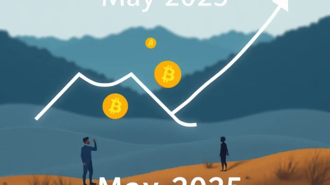 VC Crypto Investment Plunge: May 2025 Sees Sharp Drop in Deals