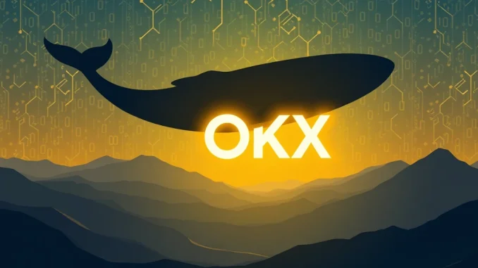 Massive Ethereum ICO Whale Deposit: $2.5M ETH Sent to OKX