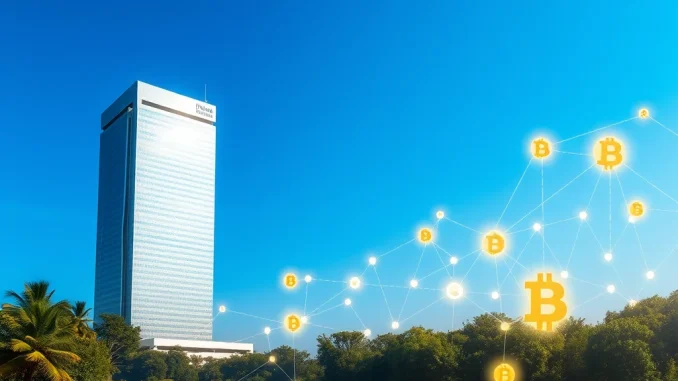 Fortune 500 Blockchain: Massive Adoption Revealed in New Report