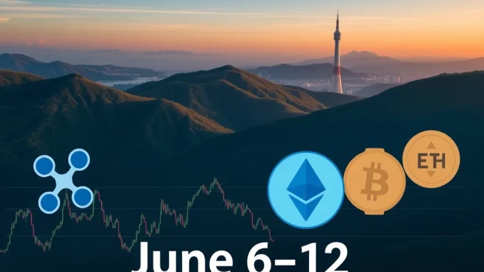 Discover Top Crypto Tokens: Korean Crypto Trends Revealed