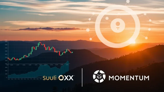Momentum DEX Secures Vital Funding Led by OKX Ventures for Sui DeFi Growth