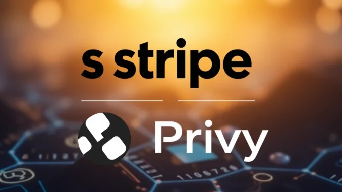 Stripe's **Strategic** Move: Acquires Privy Crypto Wallet Provider