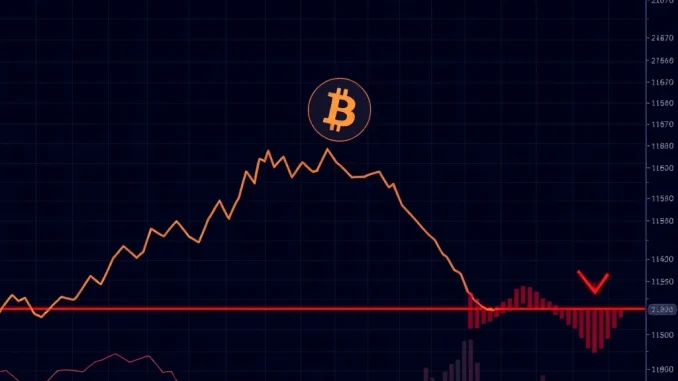 Urgent Bitcoin Price Drop: BTC Falls Below $104,000
