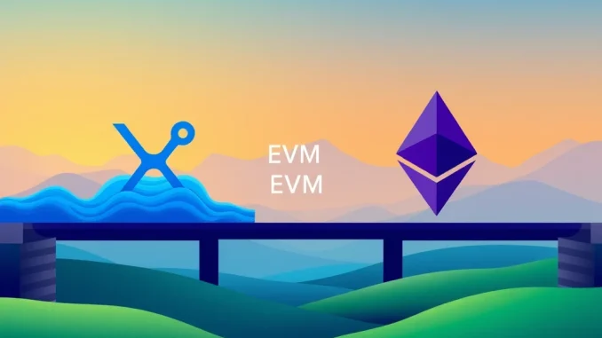 XRP Ledger EVM: Exciting Q2 Launch Planned