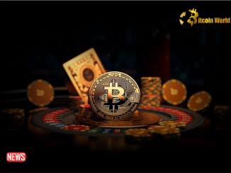 The Top 5 Bitcasino Alternatives To Consider In 2024
