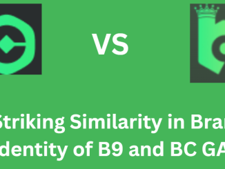 Fake Interface, Real Losses: How B9.GAME Deceives Its Users