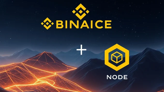 Binance Alpha adds NodeOps (NODE) token to its platform for emerging crypto projects