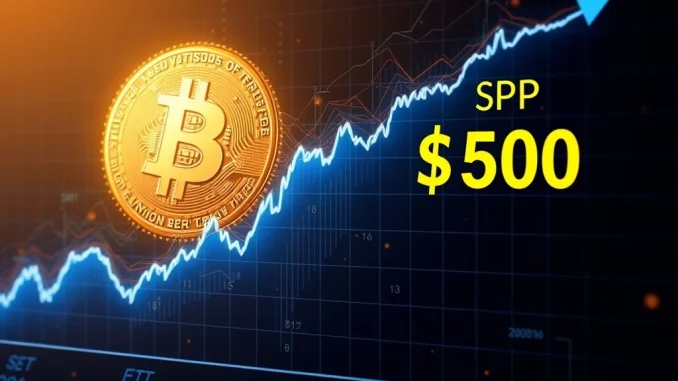 Bitcoin ETF volatility converging with S&P 500, showing market stability