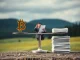 Robert Kiyosaki highlights the divergent market trends for Bitcoin ETFs, Gold ETFs, and Ethereum ETFs, emphasizing direct asset ownership.