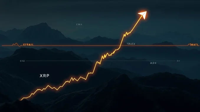 Bitcoin price chart showing a healthy consolidation within a strong uptrend, reflecting market resilience and potential for continued growth.