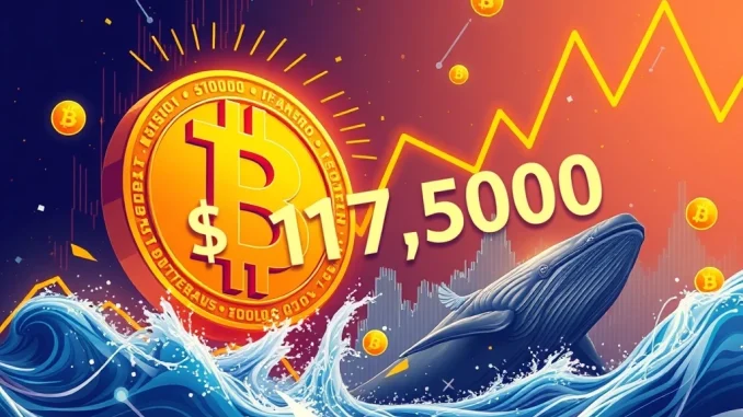 Bitcoin News: Price Soars Past $117,500 as 613,000 BTC Sell Pressure Threatens Stability Bitcoin price surge with whale activity impacting market stability