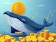 A chart illustrating a significant rise in Bitcoin whale deposits, signaling potential BTC profit taking and shifts in Bitcoin market trends.