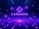 Cardano Midnight Network NIGHT token airdrop announcement with blockchain background