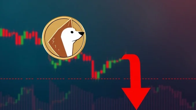 A Dogecoin (DOGE) chart illustrating a price decline, testing a key support level amidst current market volatility.